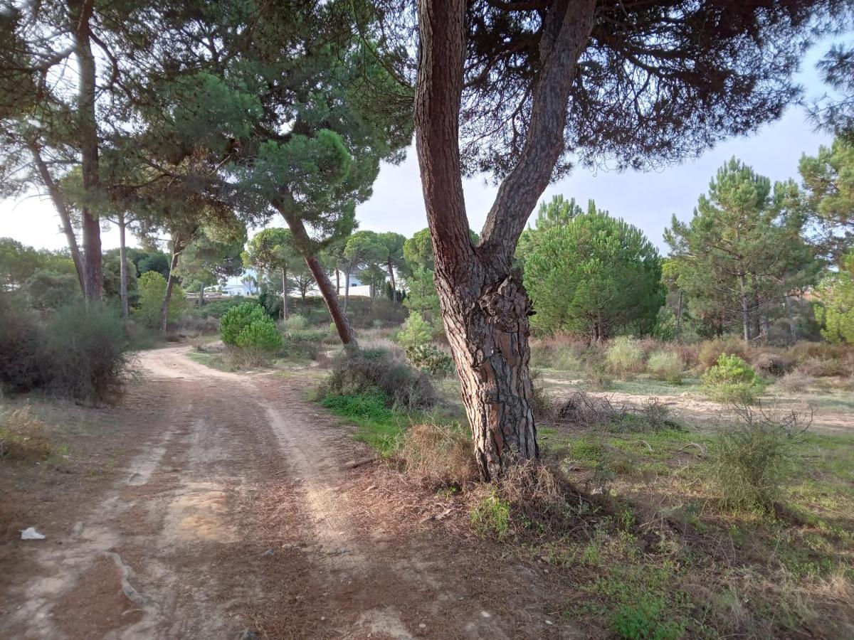 Villa St. Magnus El Rompido Dış mekan fotoğraf